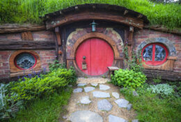 New Zealand 2025 (1 group) (16/66)